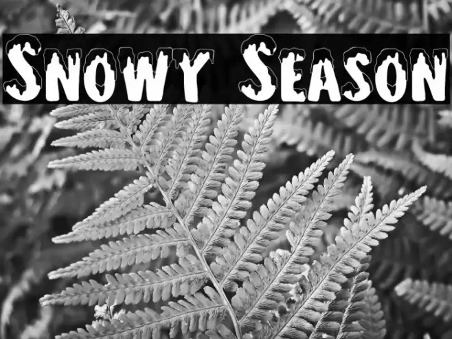 Snowy Season Font examples