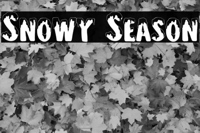 Snowy Season Font examples