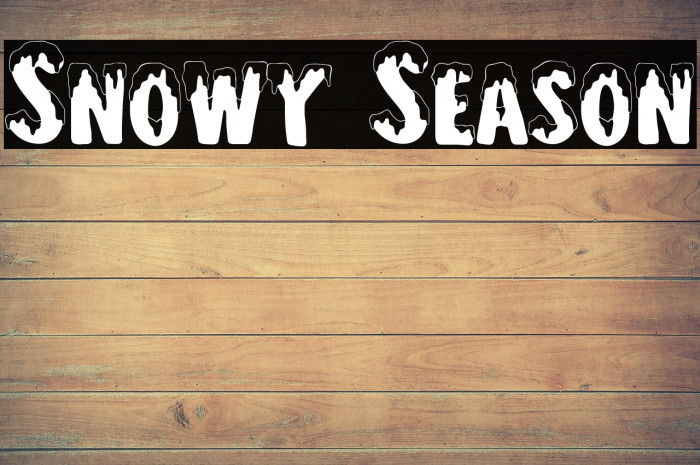 Snowy Season Example 3