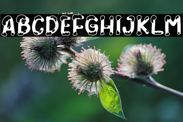 Snowy Winter Regular Example 3