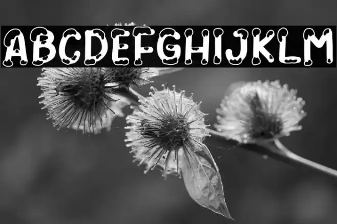 Snowy Winter Regular Font examples