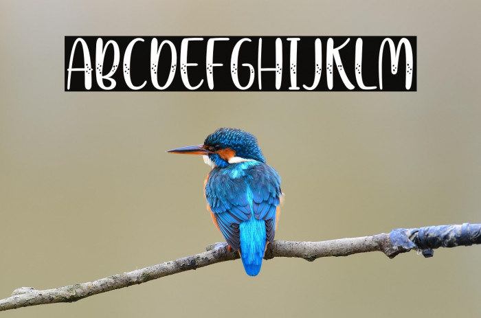 SnowyChristmas Example 3