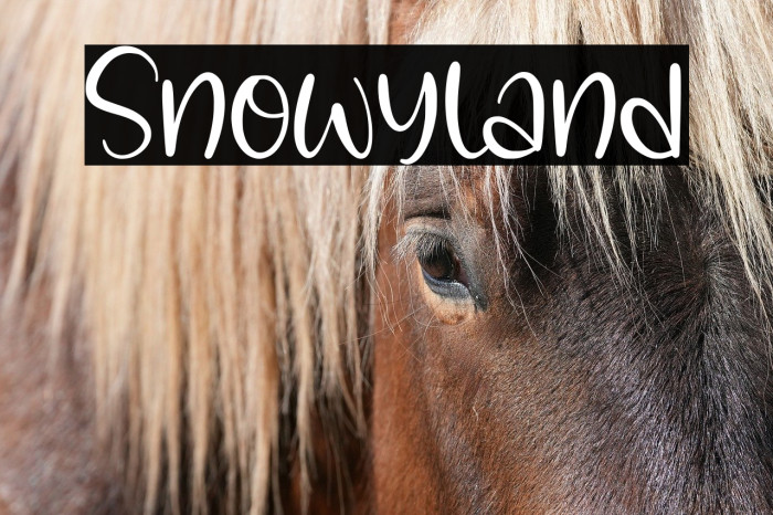 Snowyland Example 1