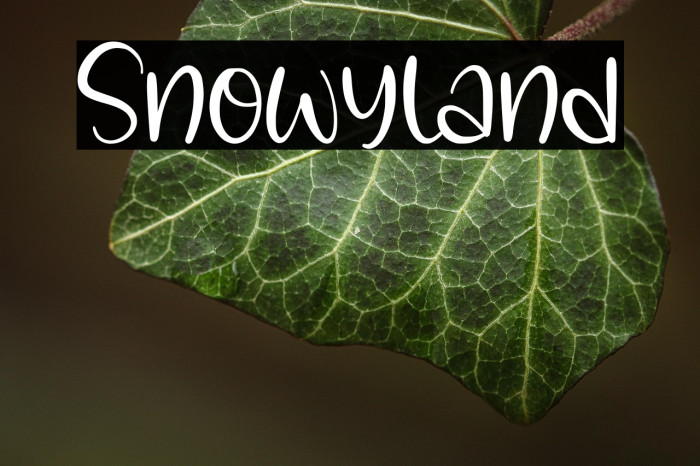 Snowyland Example 2