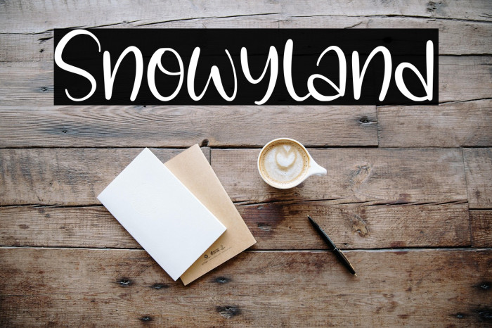 Snowyland Example 3