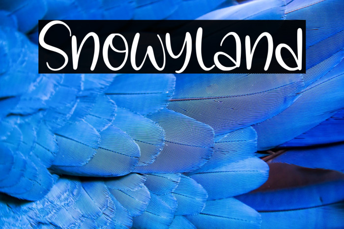 Snowyland Example 1