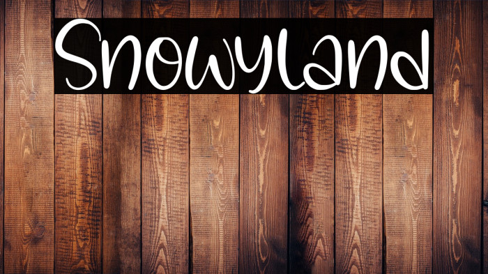 Snowyland Example 3