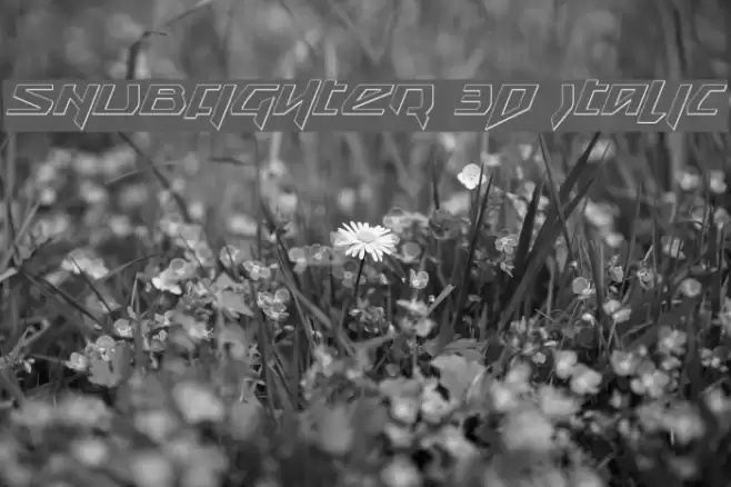 Snubfighter 3D Italic Font examples