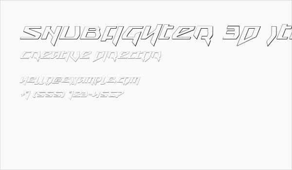 Snubfighter 3D Italic Business Card