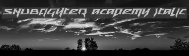 Snubfighter Academy Italic Font examples