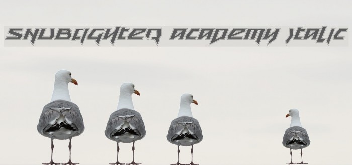 Snubfighter Academy Italic Font examples