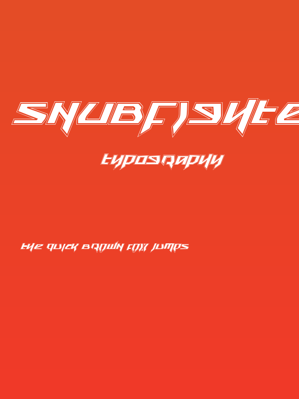 Snubfighter Academy Italic Poster