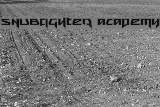 Snubfighter Academy Font examples