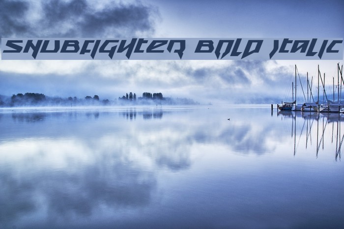 Snubfighter Bold Italic Font examples