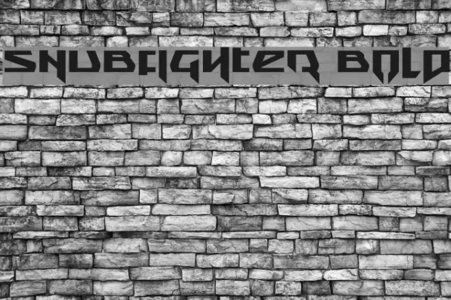 Snubfighter Bold Font examples