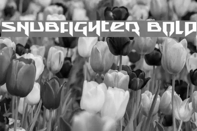 Snubfighter Bold Font examples