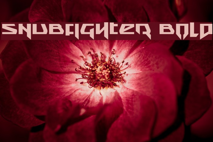 Snubfighter Bold Font examples