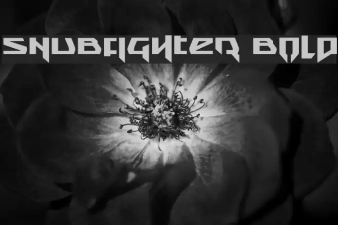 Snubfighter Bold Font examples