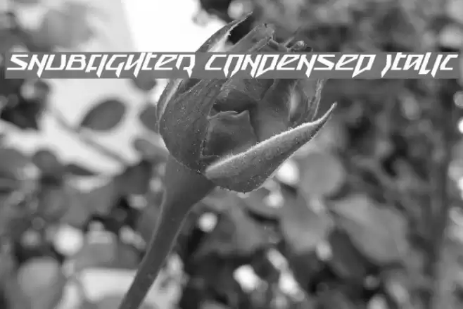 Snubfighter Condensed Italic Font examples