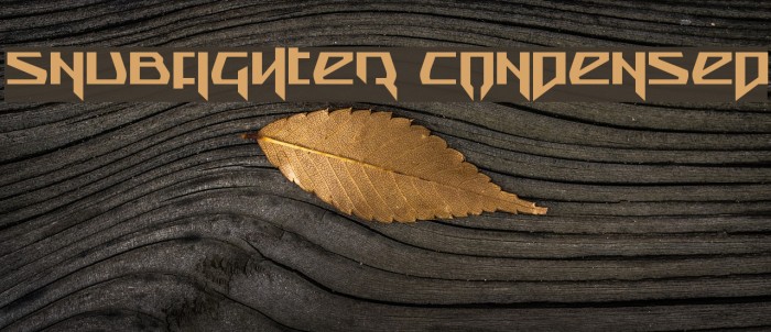 Snubfighter Condensed Example 1