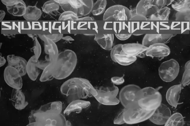 Snubfighter Condensed Font examples