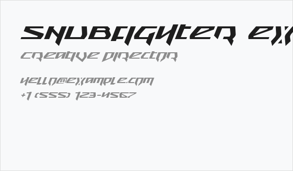 Snubfighter Expanded Italic Business Card