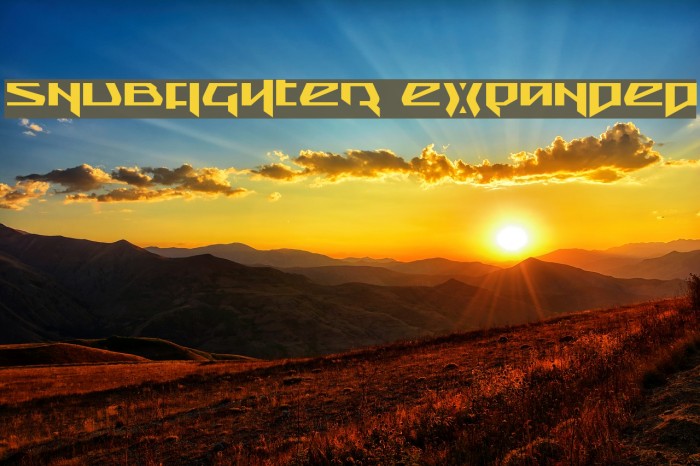 Snubfighter Expanded Fonte examples