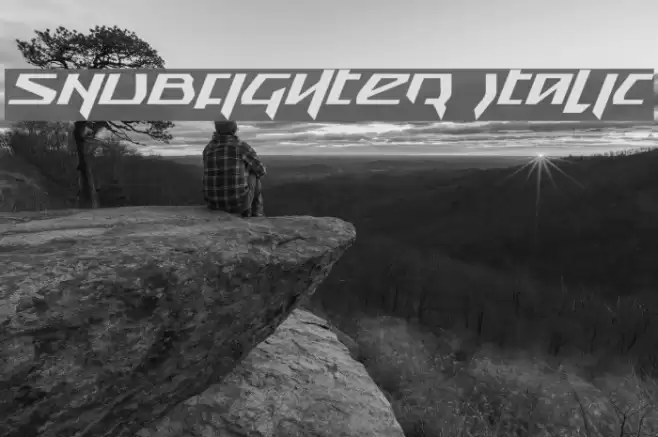 Snubfighter Italic Font examples