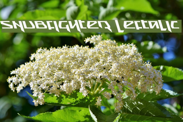 Snubfighter Leftalic Example 2