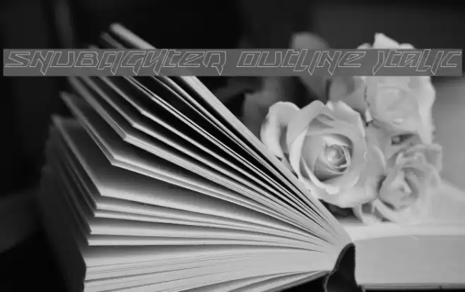 Snubfighter Outline Italic Font examples