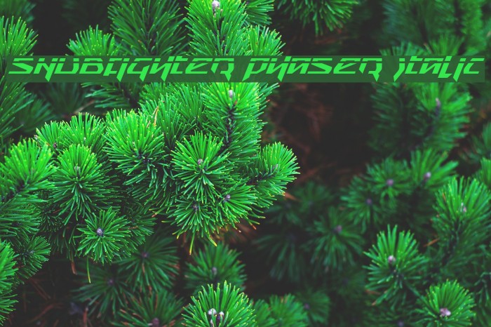 Snubfighter Phaser Italic Font examples