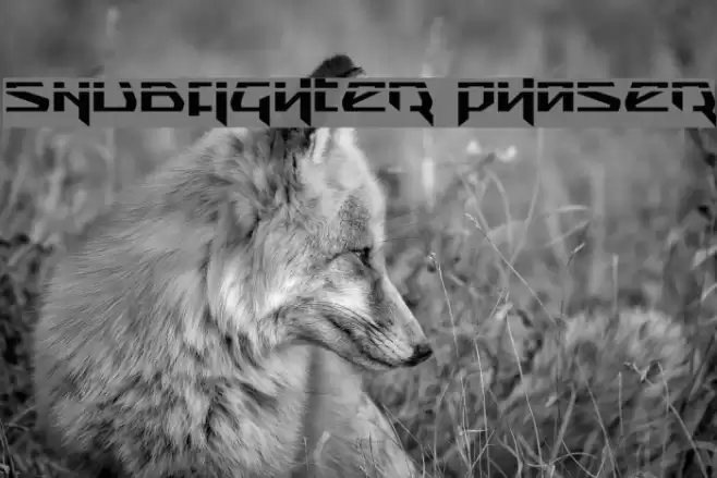 Snubfighter Phaser Font examples