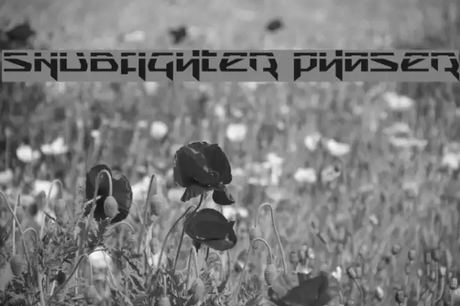 Snubfighter Phaser Font examples