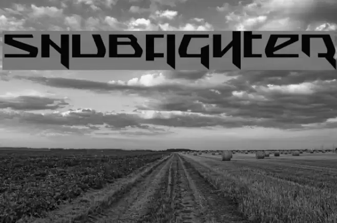 Snubfighter Font examples