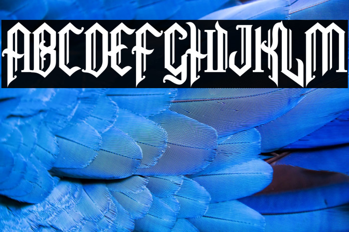 SnubhoreDemo Example 1