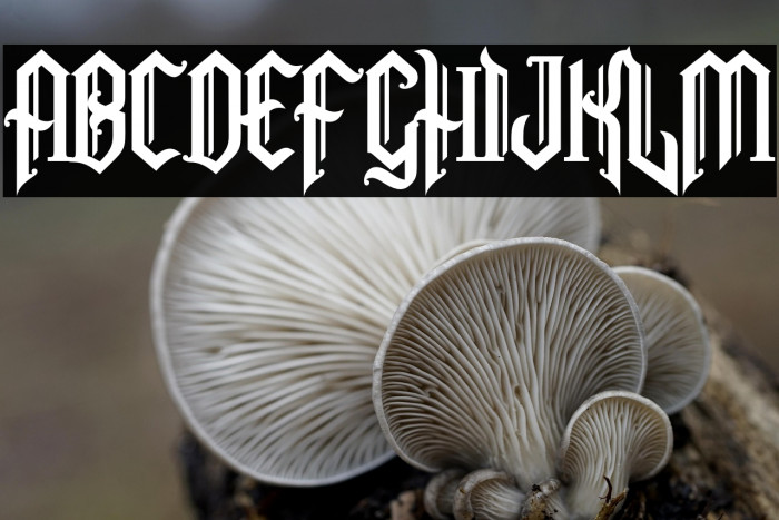 SnubhoreDemo Example 3