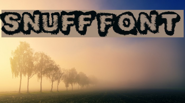 Snuff Font examples