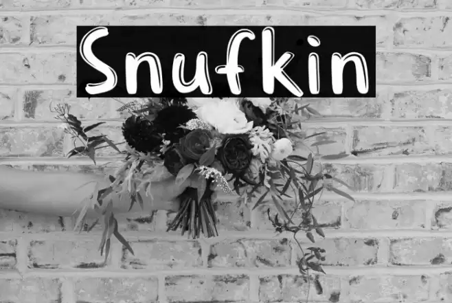 Snufkin Caratteri examples