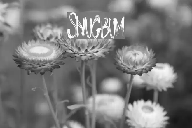 SnugBum Font examples