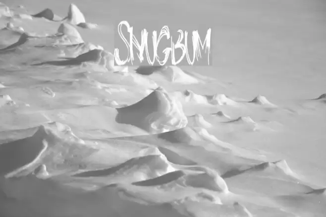 SnugBum Font examples