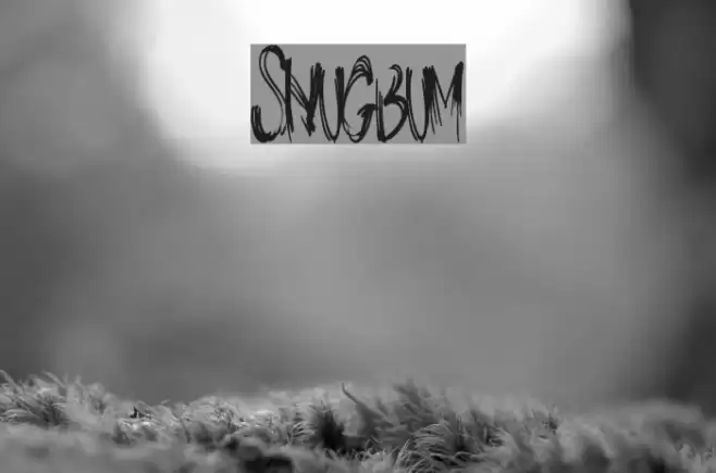 SnugBum Font examples