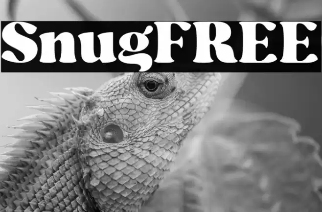 SnugFREE Font examples