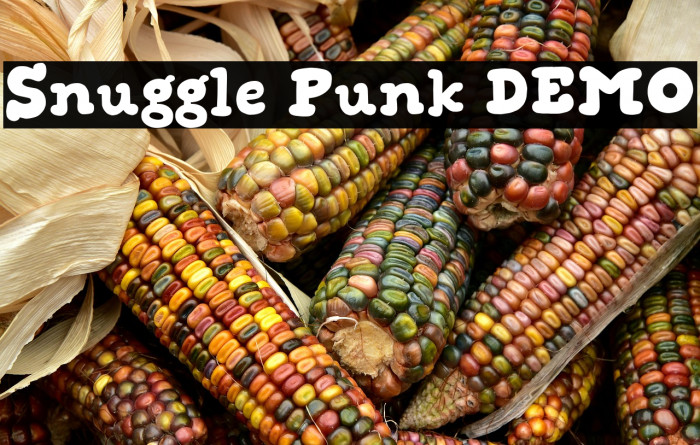 Snuggle Punk DEMO Example 3