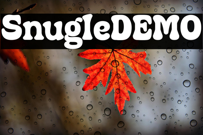 SnugleDEMO Example 2