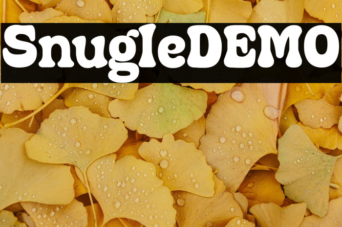 SnugleDEMO Example 3