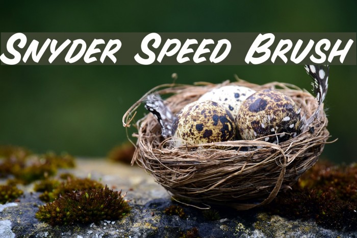 Snyder Speed Brush Font examples