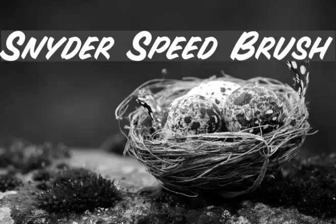 Snyder Speed Brush Font examples