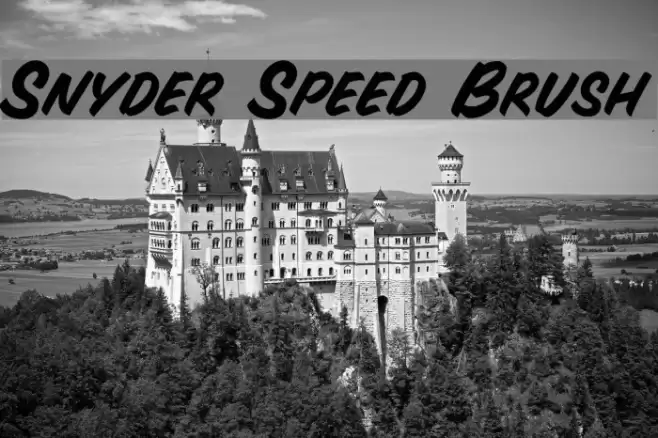 Snyder Speed Brush Font examples
