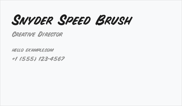 Snyder Speed Brush Business Card