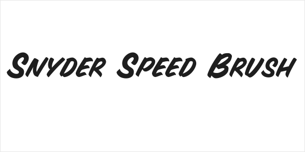 Snyder Speed Brush Logo